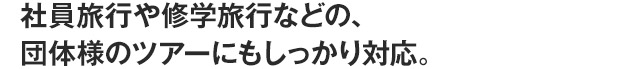 社員旅行や修学旅行などの、団体様のツアーにもしっかり対応。
